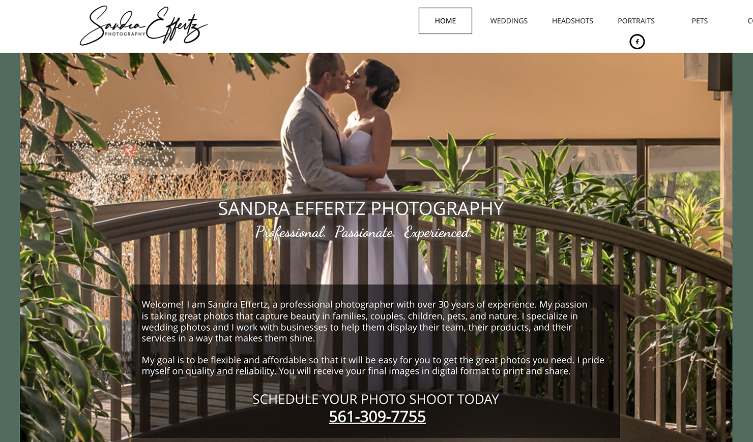 screenshot-sandyeffertz